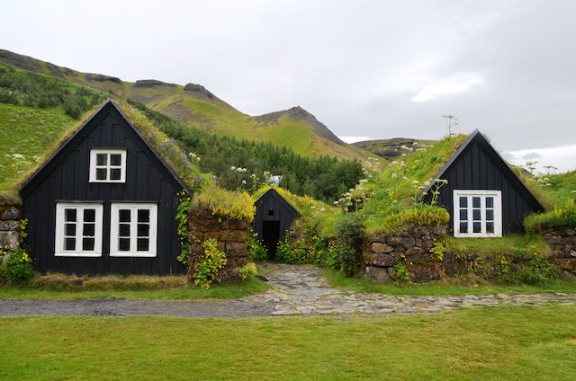 Photo of homes with wild growing green roofs